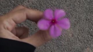????✨