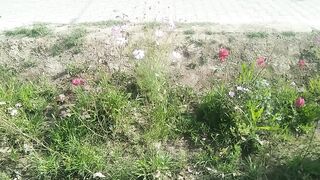 Beautiful flower????
