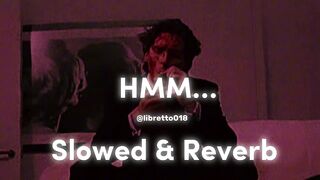 HMM  SONG _ Slowed And Reverb _ Libretto _ KHULLAR G