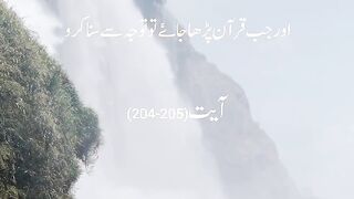 Translation Quran