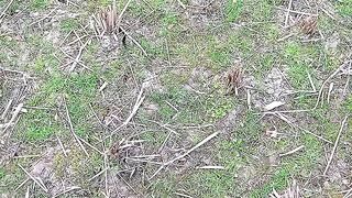 Natural environment