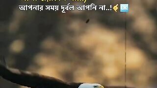 Viral video