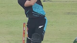 Pal cricket ???? lovers