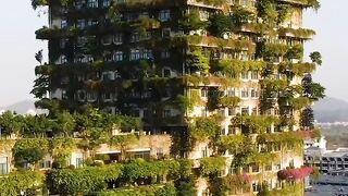 Eco friendly building