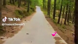 Forest ????