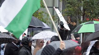 FREE PALESTINE ????????????????????????