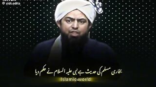 Engineer Muhammad Ali mirza