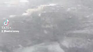 Exclusive Snowfall