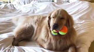 loook it very hangry ohhh