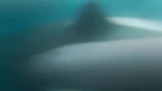 Amzing Fish