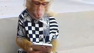 Manki funny video