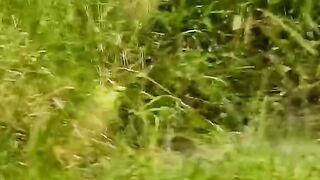 lEOPARD IS VERY DANGEROUS