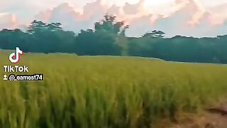 province