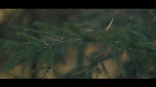 Action movie Sniper
