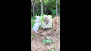 The dog is so afraid that the three little rabbits won't eat me up video