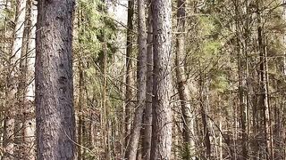 Building a Survival House in the Larch Woods. From start to finish. ASMR
