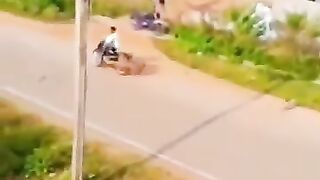 The Terrifying Tiger Encounter Caught on Camera