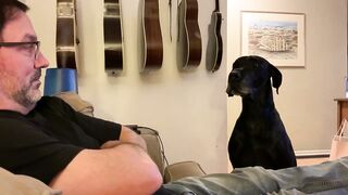 Larry getting outwitted