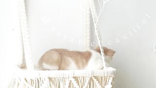 Macrame cat hammock, Cat tree, Hanging cat bed, Pet wall furniture, Boho cat swing, Cat lover gifts