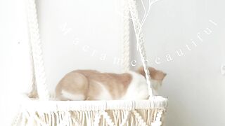Macrame cat hammock, Cat tree, Hanging cat bed, Pet wall furniture, Boho cat swing, Cat lover gifts