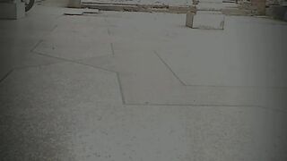 Cricketer videos
