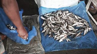 Fresh fish