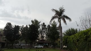 Weather