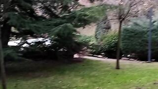 Beauty of Nature