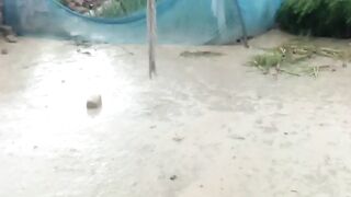 It is raining in our village