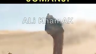 Attack