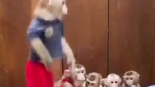 Funny ???????? video top funny video