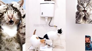 Funniest Animals 2024 ???? Best Funny Cats and Dogs Videos ???????? #cats