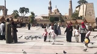Enjoy luxor ????????