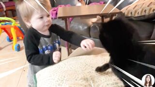 Funniest Baby And Cat Are Best Friends -- 5-Minute Fails