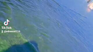 Video song