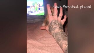 Funny Dogs And Cats Videos 2023 ???? - Best Funniest Animal Videos Of The week #3
