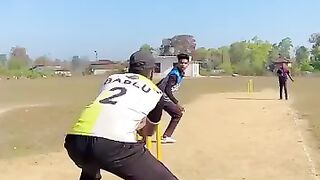 desi cricket
