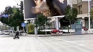 3D ابداع في