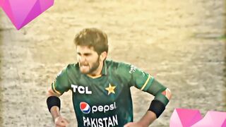 Cricket 2023 world cricket 2023