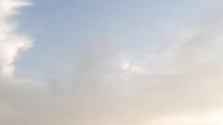 Birds planet