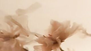 Reel song