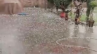 Hail strom in our city