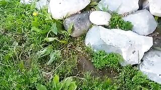 River jadaite