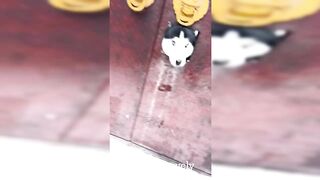You Laugh You Lose ???? Funniest Animals 2024 ???????? New Funny Cats and Dogs Videos ???????? p21