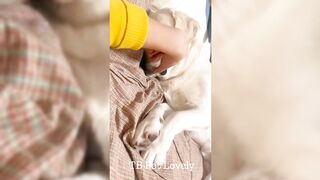 You Laugh You Lose ???? Funniest Animals 2024 ???????? New Funny Cats and Dogs Videos ???????? P33