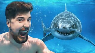 Kya Aap ₹80 Lakhs ke Liye Sharks ke Beech Jayenge?