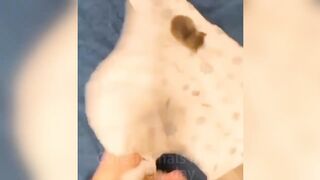????Cat Memes- Funny Cats And Dogs Videos 2024????????,New Funny Animals 2024 ???????? part 14