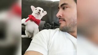 ????Cat Memes_ Funny Cats And Dogs Videos 2024????????,New Funny Animals 2024 ???????? part 13