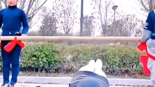 Interesting circus video short virual reels video
