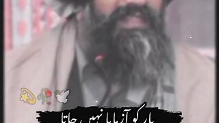 Yar yar